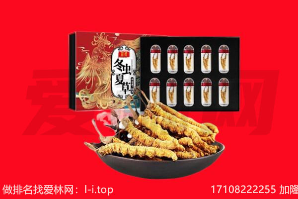忻州市代县回收虫草.jpg